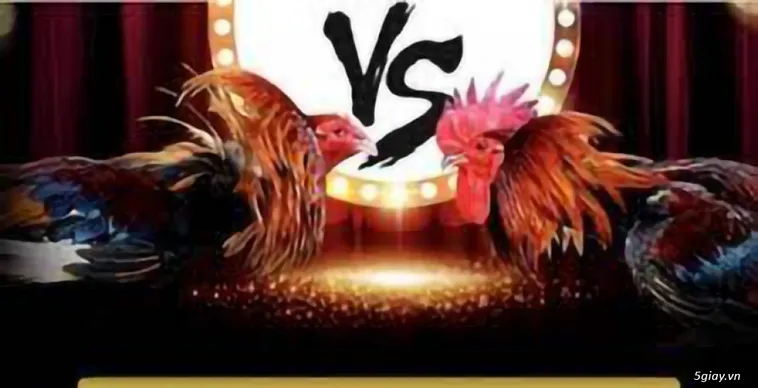 Chinh Phục Đấu Trường Đ&aacute; G&agrave; EV99 Đẳng Cấp Nhất Ch&acirc;u &Aacute;