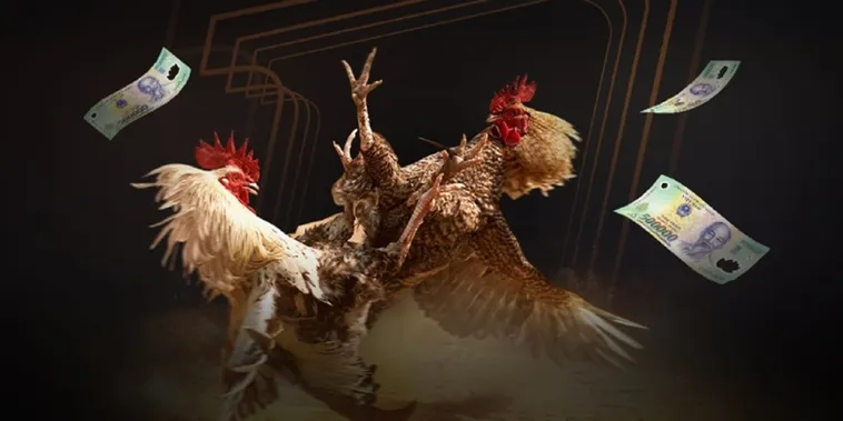 Chinh Phục Đấu Trường Đ&aacute; G&agrave; EV99 Đẳng Cấp Nhất Ch&acirc;u &Aacute;